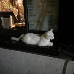 动漫女人脱内裤露屁股撅起来被男人鸡巴捅亲热视频
