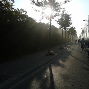 动漫女人脱内裤露屁股撅起来被男人鸡巴捅亲热视频
